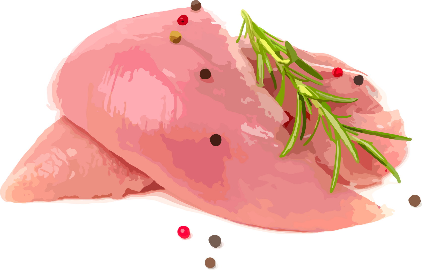 Raw Turkey Breast Fillet